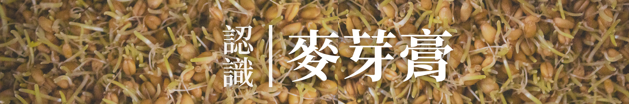 羿方麥芽膏